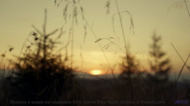 Поля наполняются жизнью вместе с этим саундом - Farewell 2 -- Kirk Osamayo -- Season Two (YELLOW)