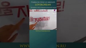 Сеульскому метро - 50 лет! Просто прогулка.  #korean