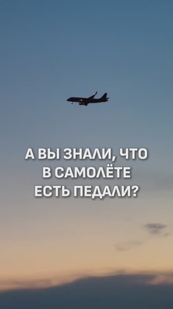 В САМОЛЁТЕ ЕСТЬ ПЕДАЛИ? 🤯