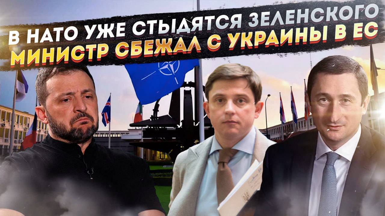 Зеленскому светит в НАТО лишь фуршет! Целый министр убежал из Украины в ЕС!
