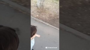 Жизнь с двойняшками