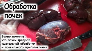 Как обработать почки