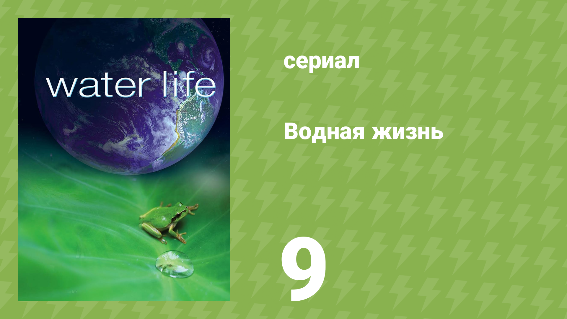 Водная жизнь 9 серия «Оболочка воды» (документальный сериал, 2009)