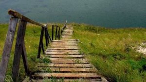 Этот мужчина СПАС волчат, но год спустя случилось НЕВЕРОЯТНОЕ