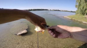 Окунь ультролайт.