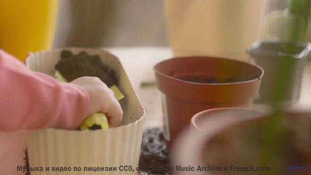 Леса и поля под этот трек - взрыв ощущений - Con te -- MrFunandMusic -- Sounds to remember