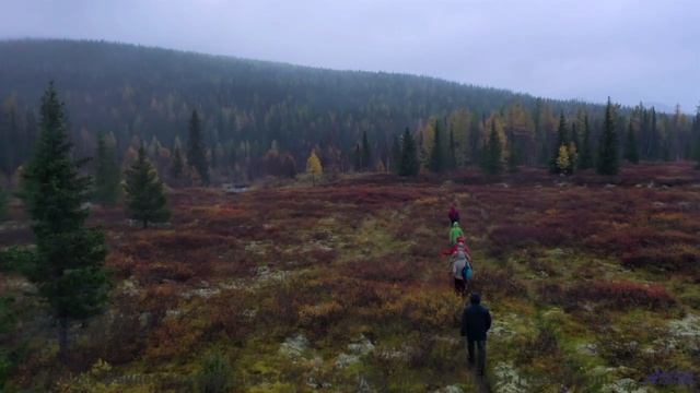 Музыка, которая перевернет ваше представление о красоте! - No Turning Back -- Kirk Osamayo -- Season