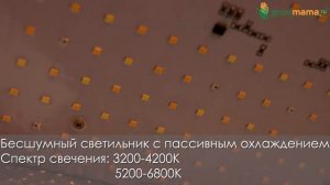 Светильник LED для растений Mars Hydro TS 600 (100W)