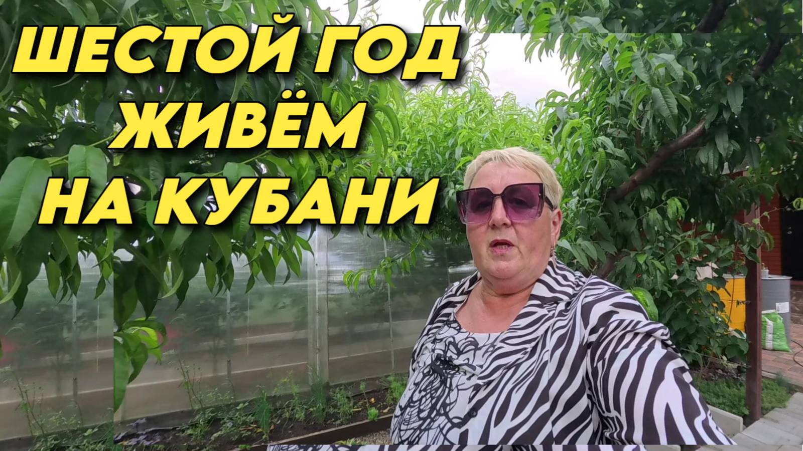 921 Жизнь семьи после переезда на юг/Интересные моменты из нашей жизни/Купили дом на Кубани