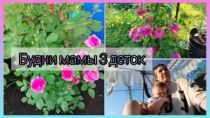 На даче у бабушки 🧓 Жарим пироги 🥧 Мне пришла посылка 📦