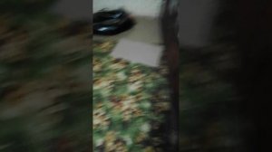 VID_20250620_133635.mp4