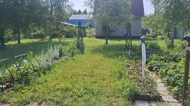 НА ДАЧУ. Милейшая милота. Первые грибы. Кусторез