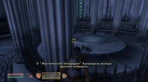 The Elder Scrolls IV (МС) часть 11