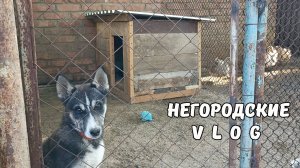 Убрали сенник. Делаем дом Буяну. 15.06.25