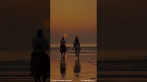 "Расправь свои крылья"- Потоковая, Гармонизирующая, наполняющая, авторская релакс-композиция.