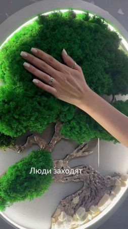 Дерево бонсай из мха с подсветкой