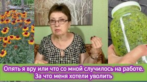 Опять я вру или что со мной случилось на работе. За что меня хотели уволить