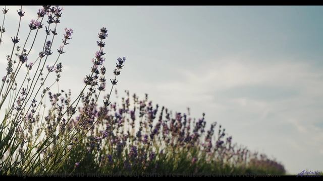 Музыка, которая звучит как обещание 'мы вернёмся сюда ещё раз' - Hey Ya (XXXV) -- opo -- Estudios In