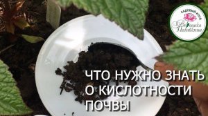 КИСЛОТНОСТЬ ПОЧВЫ. КАК ОПРЕДЕЛИТЬ И КАК ИСПРАВИТЬ