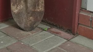 Ржавая лопата стоит в углу
