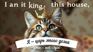 Лайфстайл