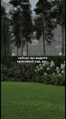 Проконсультируйтесь для выбора оптимальных растений, которые подойдут для вашего участка! #сад