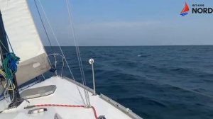 Яхтинг в Анапе