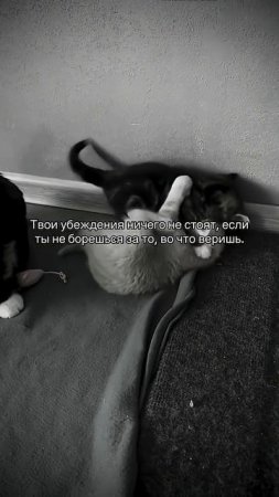 Верь в себя