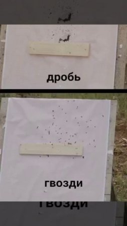 Гвозди или дробь? По мотивам фильма Брат!