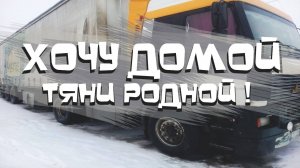 MAXIMUS - Тяни, родной