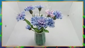 Создано в нашей студии