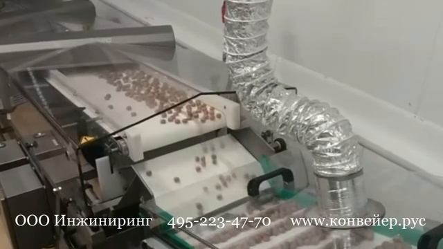 Ленточный конвейер для кондитерских изделий. Производство монтаж и запуск конвейерных систем.