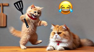Смешные коты 2025 😸Самые лучшие приколы с котами😸 Кошки 🤩Животные🤩 Смешные видео