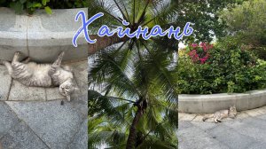 Май 2025 на #Хайнане. Экскурсии от Тур.Оператора. Кафе «Лето»