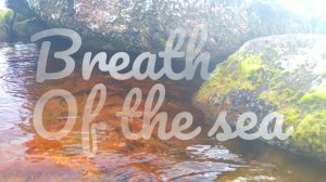 Breath of the sea