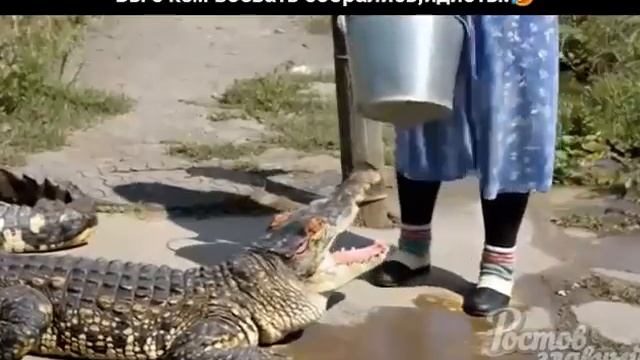 VID-20250620-WA0001.mp4 Елена Дружиненко Воркута