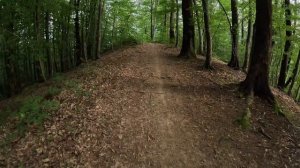 Покатушки в лесу (Сочи - Пластунка)