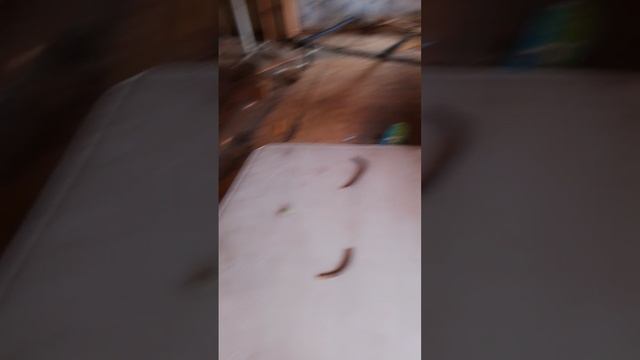 видио наш офис