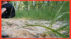 Продолжение с канала макса ващенко