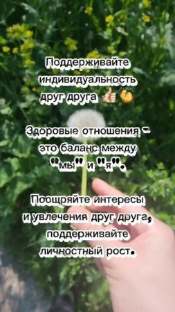 lv_0_20250605190120