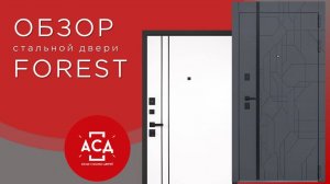 Скоро в продаже! Стальная дверь Forest в складской программе