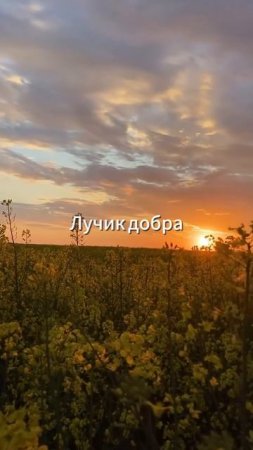 Александр Тремаскин - Фея.
Премьера: 2 июля!