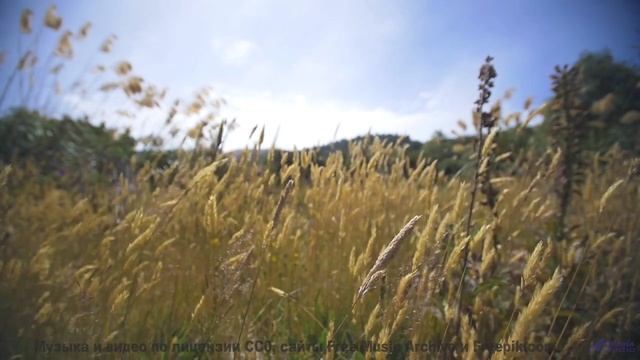 Музыка, написанная черной дырой - услышьте космос! - Americana -- HoliznaCC0 -- Rock Montage