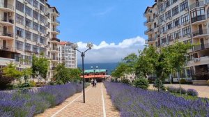 Геленджик 20 июня 2025 год. Толстый мыс.  ЖК Черноморский-2.mp4