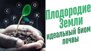Питание растений органическими веществами.