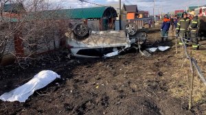 Приговор водителю