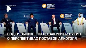 Больше водки — будет веселее жить. Путин — о поставках алкоголя в ЮАР