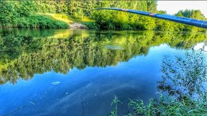 5 МИНУТ БОРЬБЫ С ГИГАНТОМ И МОРЕ АДРЕНАЛИНА!РЫБАЛКА НА ПОПЛАВОК У ДОМА!🎣