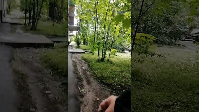 Погодка шепчет