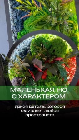 Картина из стабилизированных растений и мха круглой формы с подсветкой для дома